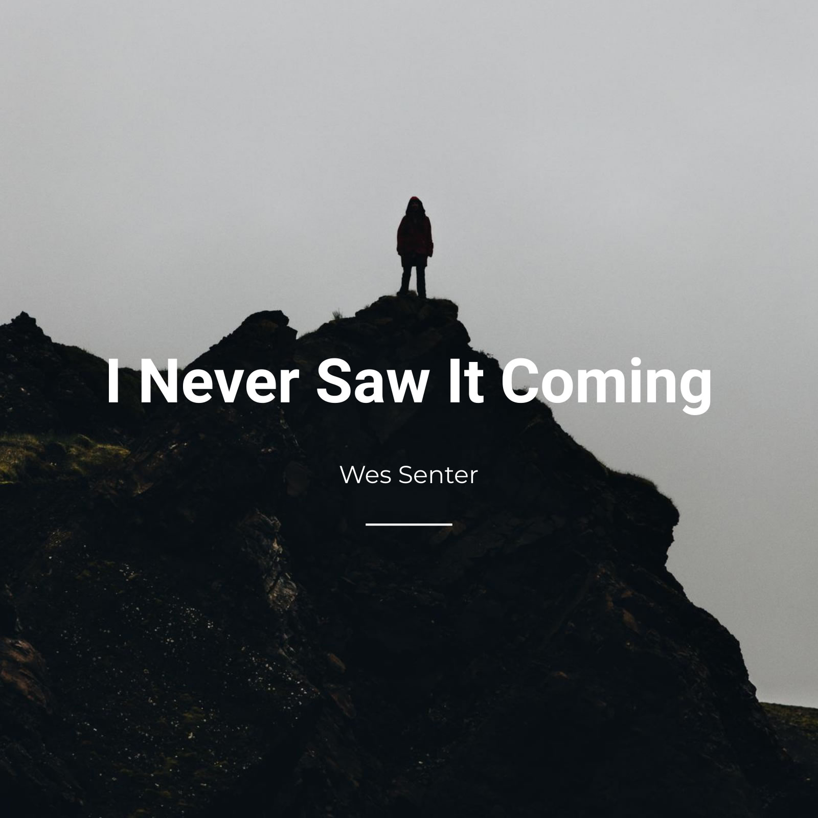 I Never Saw It Coming cover artwork